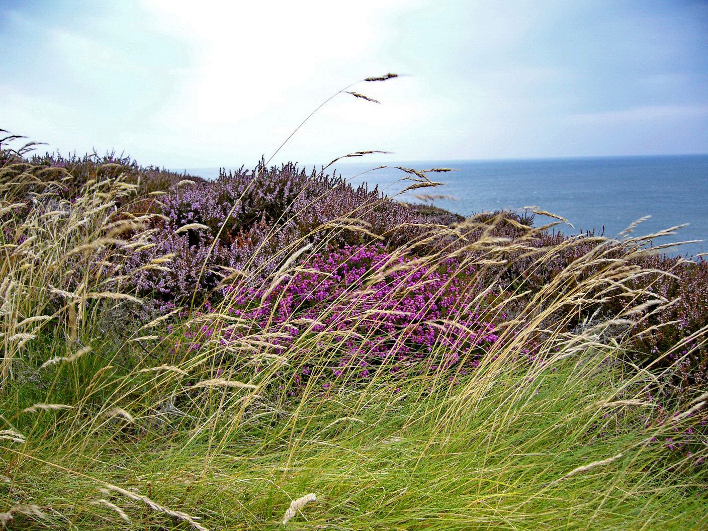 Llaneilian (Amlwch)